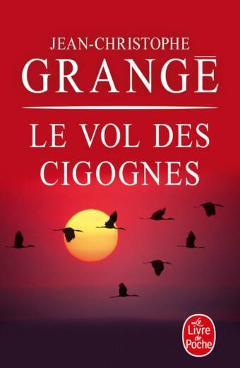 Le vol des cigognes