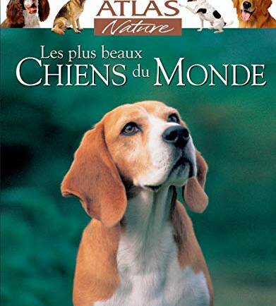 Les plus beaux Chiens du Monde