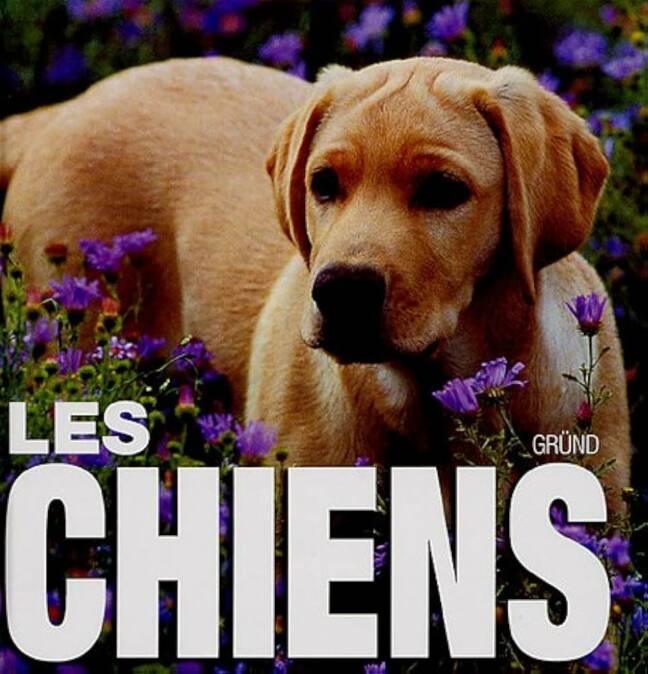 Les Chiens - Buono Vito