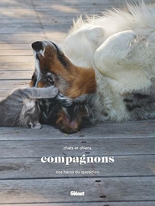 Compagnons: Chats et chiens, nos héros du quotidien