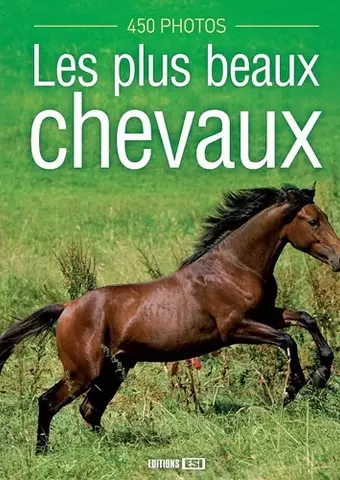 Les plus beaux chevaux