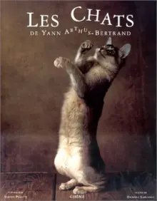 Les chats.