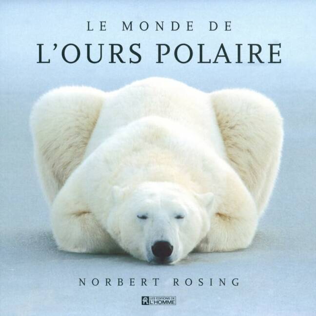 Le monde de l'Ours polaire