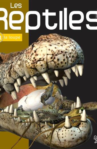 Les Reptiles
