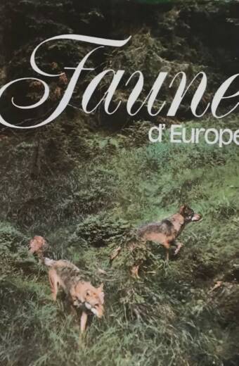 Faune d'Europe
