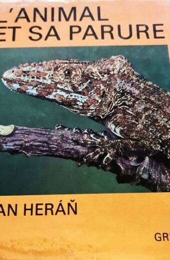 L'animal et sa parure