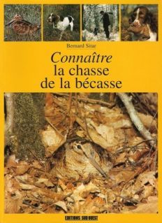 Connaître la chasse à la bécasse