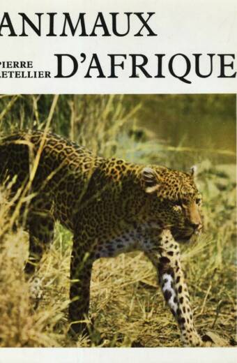 Animaux d'Afrique