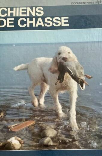 Chiens de chasse