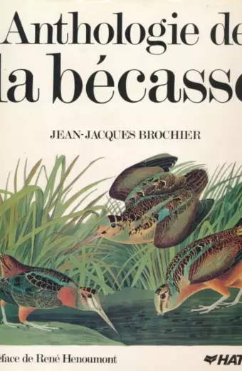 Anthologie de la Bécasse